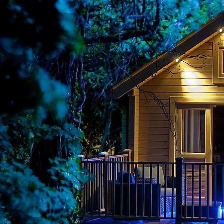 Vila Alum Chine Log Cabin Bournemouth Exteriér fotografie