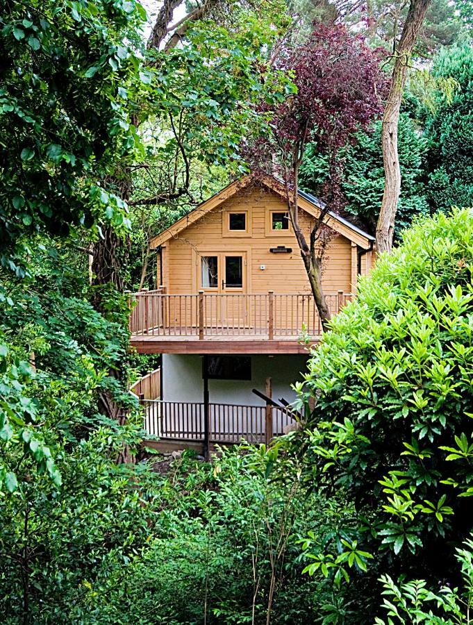 Vila Alum Chine Log Cabin Bournemouth Exteriér fotografie